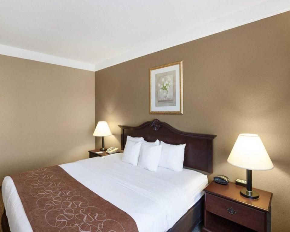 Comfort Suites Plainview Εξωτερικό φωτογραφία