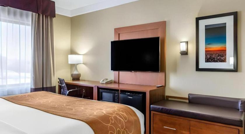 Comfort Suites Plainview Εξωτερικό φωτογραφία